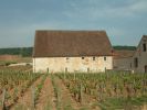 Clos de Vougeot - viniční dvůr